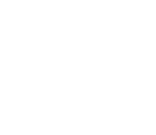 silegy logo new footer